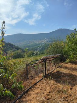 Bayındır Gayrimenkul - Satılık Kiraz Bagcesi