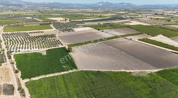 Royal Işık Ofisten Manisa Şehzadeler Karayenicede 21.462m2 Tarla