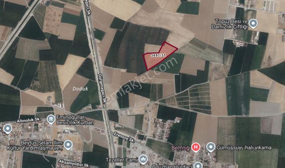 💎 Tekin Oğlundan Geleceğe Değer Katan Yatırım Fırsatı!