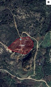 Bayındır Gayrimenkul - Satılık Zeytinlik