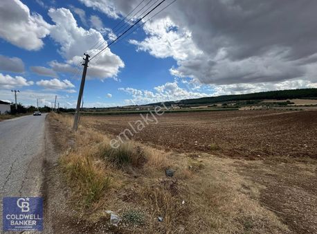 Menderes Coldwell Banker Poyraz'dan Hiseli Tarla Yatırım Fırsatı