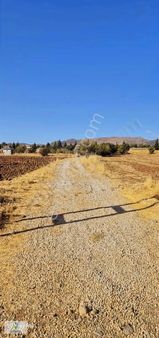 Uluoba'dan Yolçatıda Hazır Kurulu Bahçe