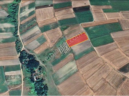 Bursa Karacabey Karakocada Satılık Tarla