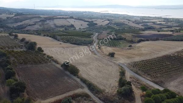 Çanakkale Çardak Kadastral Yolu Olan Satılık Tarla