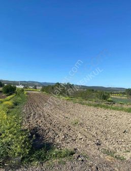 Büyükbalıklı'da Tek Tapu Yola Cephe Tarla