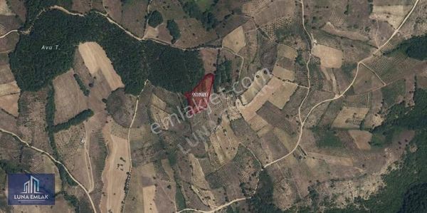 Luna'dan Samsun Canik Ambarpınarda Orman Cepheli 5.344 M² Tarla