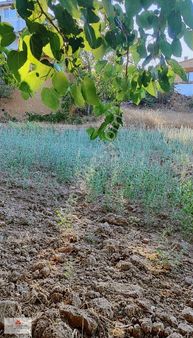 Karesi Tatlıpınar Mah 743 M2 Arsa