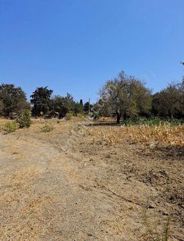 Startkey Pelit Eski Datça'da İmar Sınırında Satılık Tarla