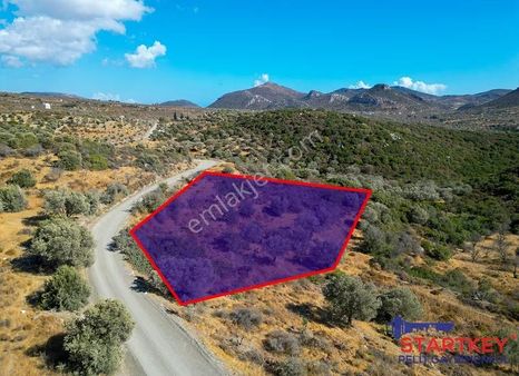 Datça Yazıda Denize Yakın 1762 M² Arazi Tiny House'a Uygun