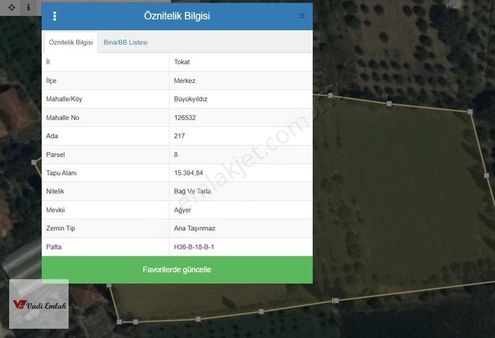 Vadi Emlak'tan Yatırımlık Satılık Tarla