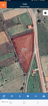 Vadi Emlak'tan Güryıldız'da Muhteşem Konumlu Satılık Tarla