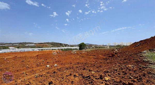 Satılık 1040 M² Tarla Esenpınar Erdemli Mersin