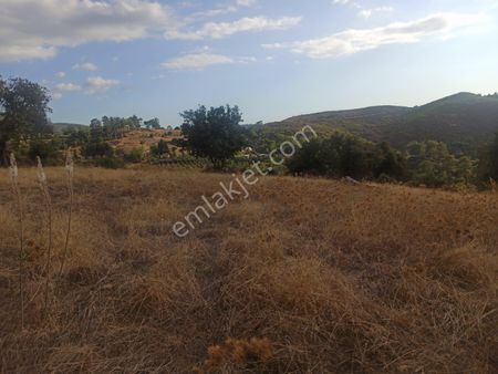 Arkadaş İnşaat Emlaktan Erentepe Gerçende Satılık Tarla