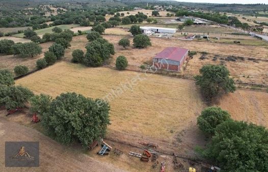 Çanakkale Ezine Akköy De İmar Sınırında Satılık Tarla