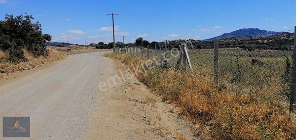 Çanakkale Ezine Kemallı Köyünde Satılık Tarla