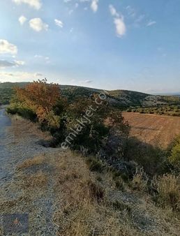 Çanakkale Ayvacık Çakmaklar Köyünde Satılık Tarla