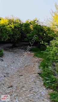 Aşağı Işıklarda 455m2 Tek Tapu Tarla 25 Adet Portakal Ağacı