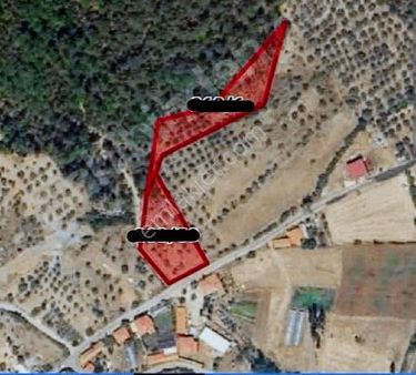 Ege Emlak Yatırımdan Ula'da Satılık 4360 M2 2 Adet Parsel