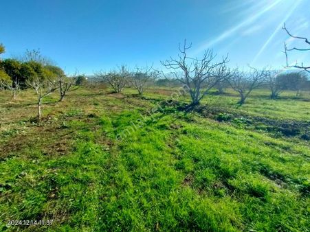 Horsunlu Mahallesinde Satılık Hobi Bahçesi