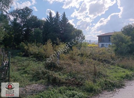 Düzce Altınpınar Köyü Satılık Harika Konum Da Villalık Arsa561m2