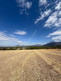 Denizli Acıpayam Darıveren Bölgenin En Kilit İlanı
