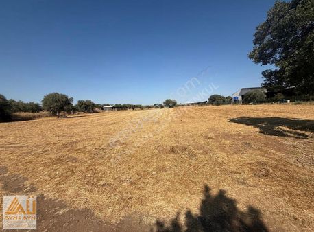 İzmir Kemalpaşa Fırsat Satılık Çiftlik