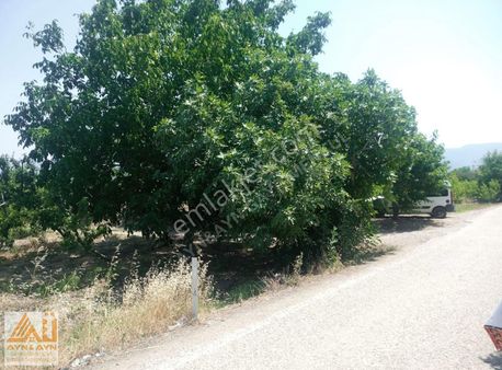 Kemalpaşa Ören'de Satılık Bahçe