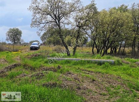 Han Emlak'tan 25750 M2 Çan Etili Anayol Üstü Satılık Tarla