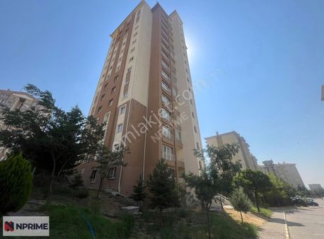 Yapracık Toki Depozitosuz Cam Balkonlu Müstakil Tadında Kiralık