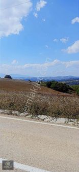 İzmit'in Yeni Gözde Cazibe Bölgesi Kozluca'da Çiftlik İmarlı