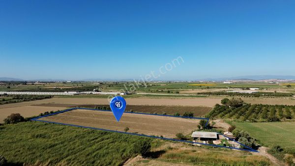 Satılık Tarla - Menemen Ahıhıdır Mevkisinde 11 Dönümlük Fırsat