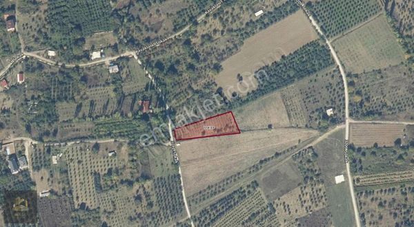 Bölge Emlak'tan Geyve Hırkada Müstakil Parsel Yola Cephe 2.048m2