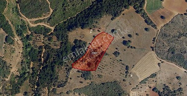 Bölge Emlak'tan Yenişehir Kozderede Satılık 7.800 M2 Arsa