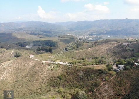 Öğretmen'den Akçakoca Tepe Köy'de Satılık Fırsat 8.304 M2 Arsa