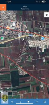 Uçar Emlaktan Satılık Bağ Evlik Ve Zeytinlik