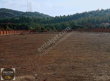 Falcon Dan Üzümlü De Mükemmel 7667m² Fırsat Tarla