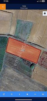 Denız Can Emlak Seyitaliler Köyünde 74m Kadastro Yola Cephearazi