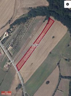 Yuva Emlak Silivri Büyüksineklide Satılık Fırsat 5.954 M2 Tarla