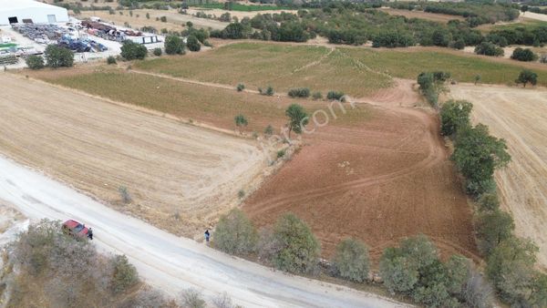 Uşak Eşme Güneyköy'de Verimli Arazi Satılık