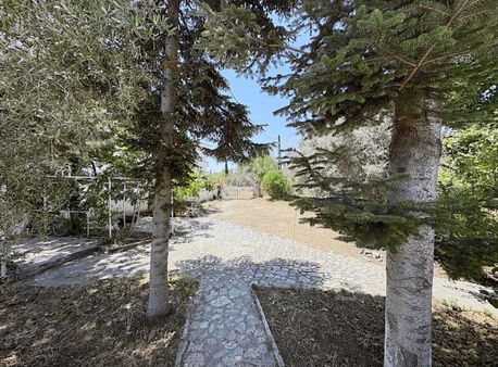 Ova'da 1155m2 Zeytinlik Üzerine Kurulu Havuzlu Satılık Villa