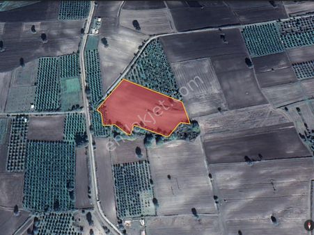 Karacabey Eskikaraağaçda Yola Cephe Göl Manzaralı 'fırsat' Tarla