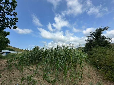 Düzce Akçakoca Uğurlu Köyün'de 1994 M2 Satılık Arsa