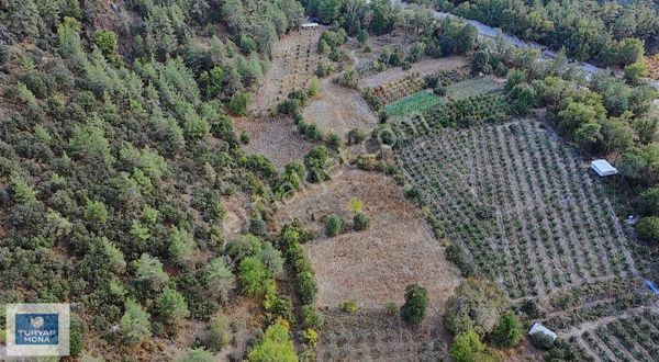 Antalya Kumluca Karacaörende 1.375 M² Satılık Yatırımlık Bahçe