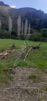 Hürriyet Mah. 21.5 Dönüm Rıza-i Taksimli