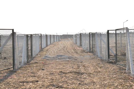Çözüm Emlak’tan Teberikte 600m2 Araç Takaslı Teli Kapılı Hobi Bahçesi