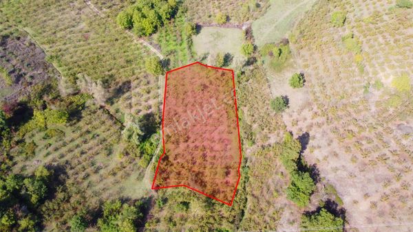 Hatipli Ketenciler Mh. İmar Sınırında-yatırımlık-3.592 M2 Tarla