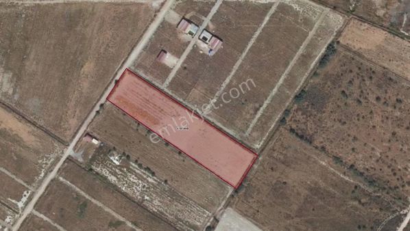 Muğla Milas Avşar Mah. Depo-havuzlar Bölgesi Yol Cepheli Tarla !!!