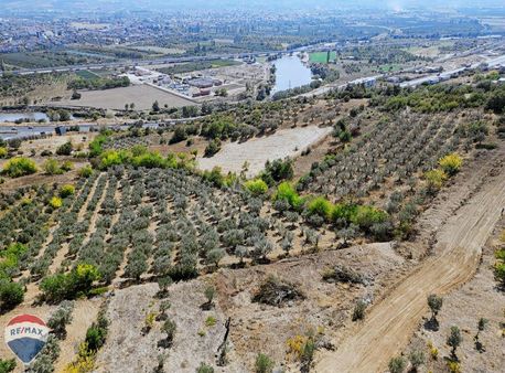 Remax Mavi Canan Günay Geyve Alifuatpaşa Satılık 503m2 Arsa