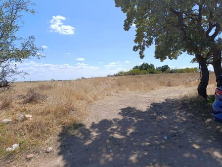 Kırklareli Eriklice Köyü Satılık Tarla