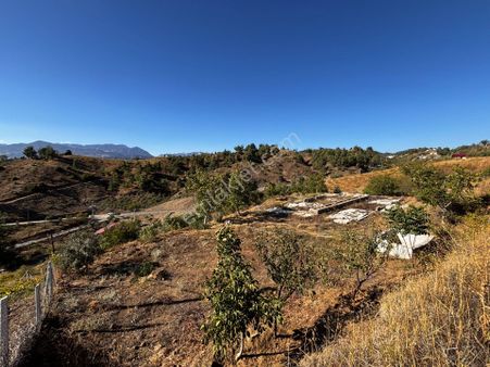 Cb'den Kürtül'de Tek Tapu (2.538 M2) Doğa Manzaralı Satılık Bahçe